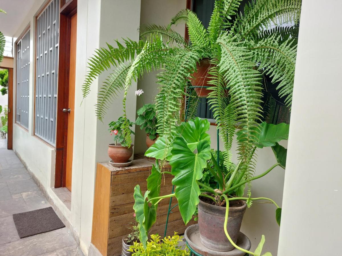 Casa Amarello Apartment Lima Ngoại thất bức ảnh