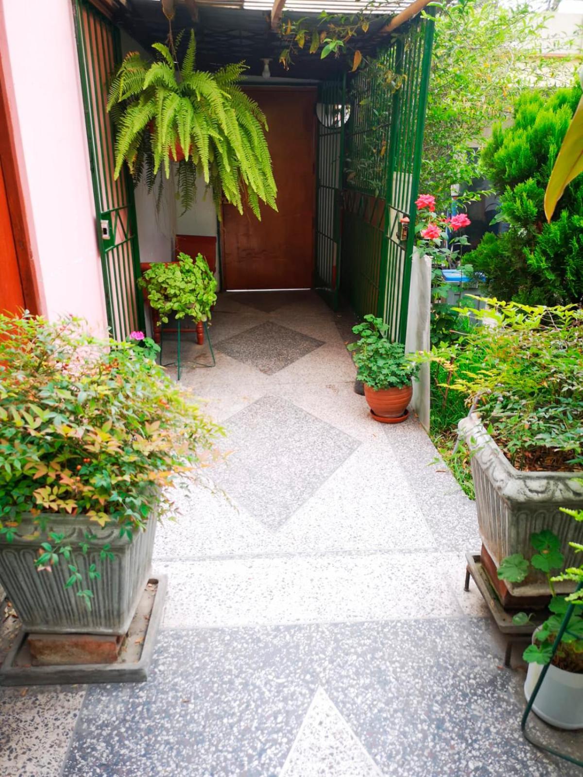 Casa Amarello Apartment Lima Ngoại thất bức ảnh